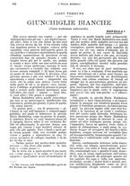 giornale/RMG0021704/1906/v.1/00000516