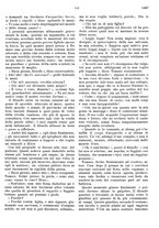 giornale/RMG0021704/1906/v.2/00000793