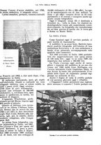 giornale/RMG0021704/1906/v.4/00000045