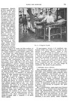 giornale/RMG0021704/1906/v.4/00000169