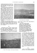 giornale/RMG0021704/1906/v.4/00000191