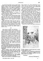 giornale/RMG0021704/1906/v.4/00000271