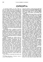 giornale/RMG0021704/1906/v.4/00000272