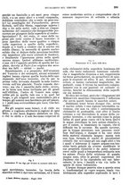giornale/RMG0021704/1906/v.4/00000319