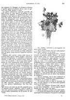 giornale/RMG0021704/1906/v.4/00000443