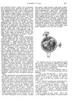 giornale/RMG0021704/1906/v.4/00000445