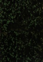 giornale/RMG0024510/1882/unico