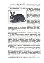 giornale/RML0014707/1914/unico/00000044