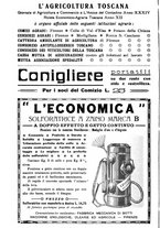 giornale/RML0014707/1914/unico/00000262
