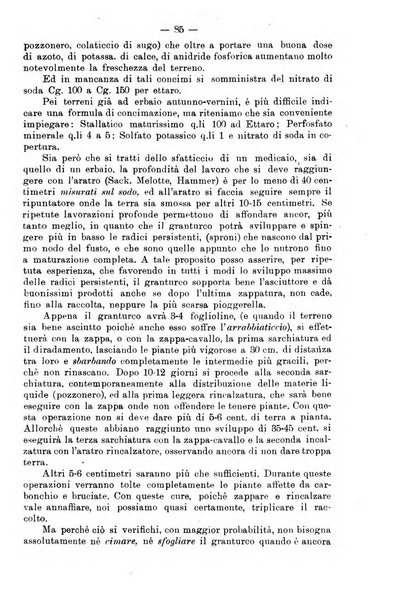 L'agricoltura toscana organo ufficiale per le principali istituzioni agrarie delle provincie di Firenze e di Arezzo