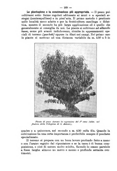 L'agricoltura toscana organo ufficiale per le principali istituzioni agrarie delle provincie di Firenze e di Arezzo