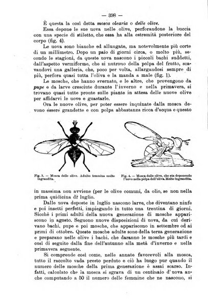 L'agricoltura toscana organo ufficiale per le principali istituzioni agrarie delle provincie di Firenze e di Arezzo