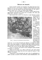 giornale/RML0014707/1915/unico/00000496