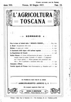 giornale/RML0014707/1917/unico/00000115