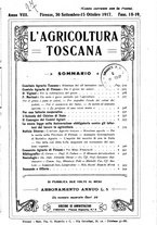 giornale/RML0014707/1917/unico/00000219