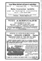 giornale/RML0014707/1917/unico/00000250