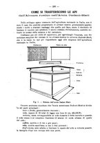 giornale/RML0014707/1917/unico/00000330