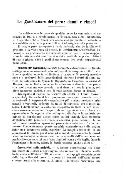 L'agricoltura toscana organo ufficiale per le principali istituzioni agrarie delle provincie di Firenze e di Arezzo