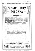 giornale/RML0014707/1918-1919/unico/00000171
