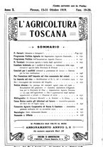 giornale/RML0014707/1918-1919/unico/00000251