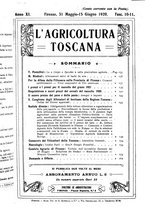 giornale/RML0014707/1920/unico/00000085