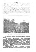 giornale/RML0014707/1920/unico/00000281