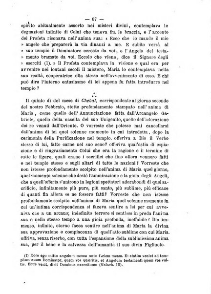 Annali francescani periodico religioso dedicato agli iscritti del Terz'ordine