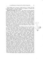 giornale/RML0015994/1917/unico/00000021