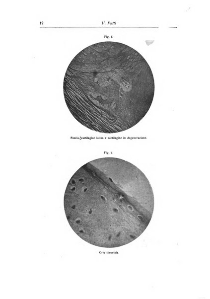 La chirurgia degli organi di movimento