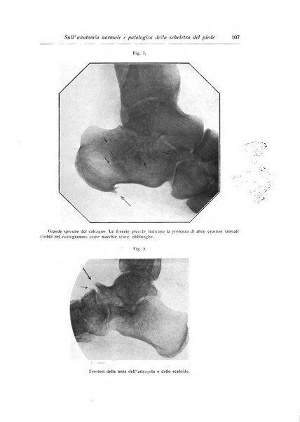 La chirurgia degli organi di movimento