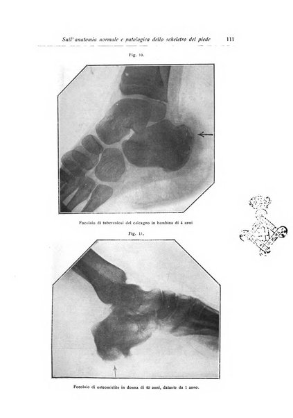 La chirurgia degli organi di movimento