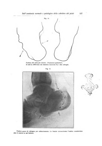 La chirurgia degli organi di movimento