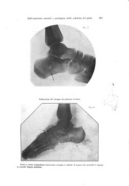 La chirurgia degli organi di movimento