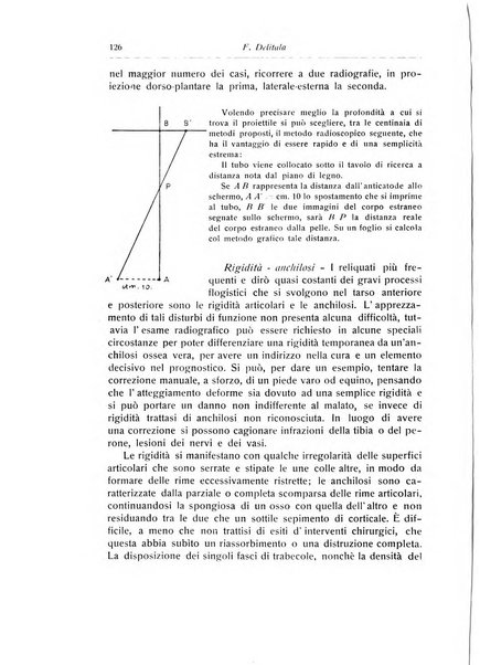 La chirurgia degli organi di movimento