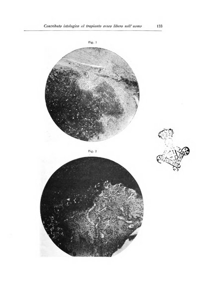 La chirurgia degli organi di movimento