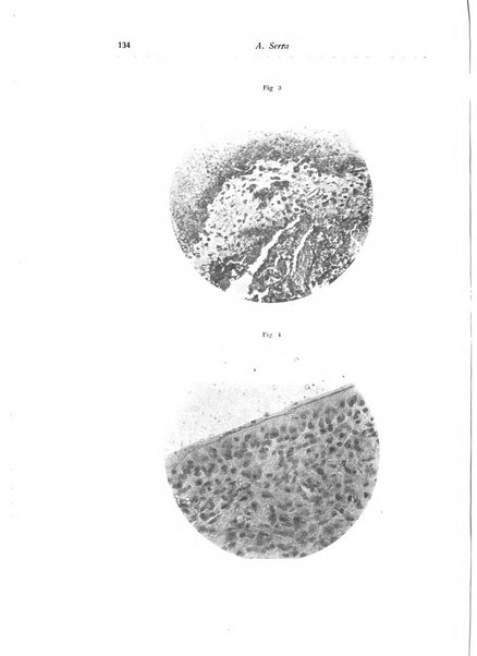 La chirurgia degli organi di movimento