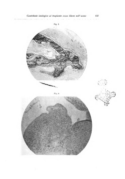 La chirurgia degli organi di movimento