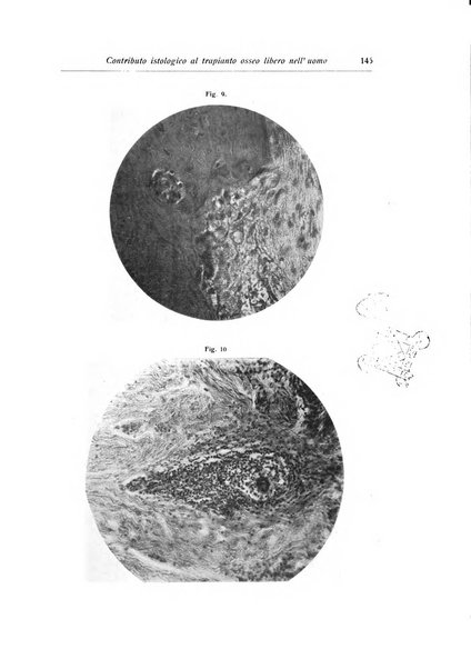 La chirurgia degli organi di movimento