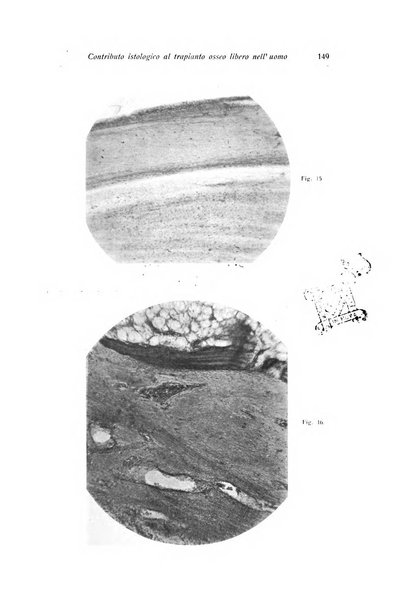 La chirurgia degli organi di movimento