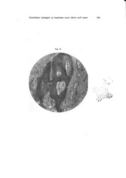 La chirurgia degli organi di movimento