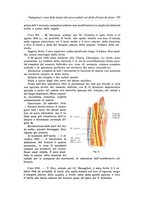 giornale/RML0015994/1917/unico/00000191