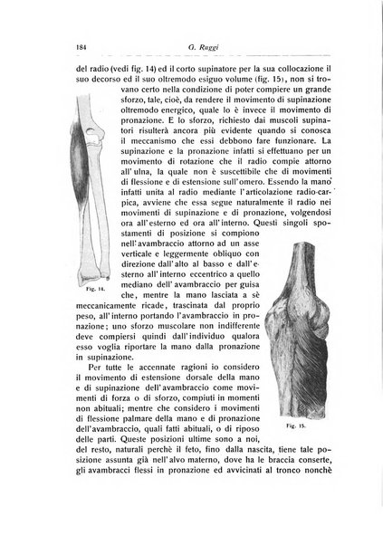 La chirurgia degli organi di movimento