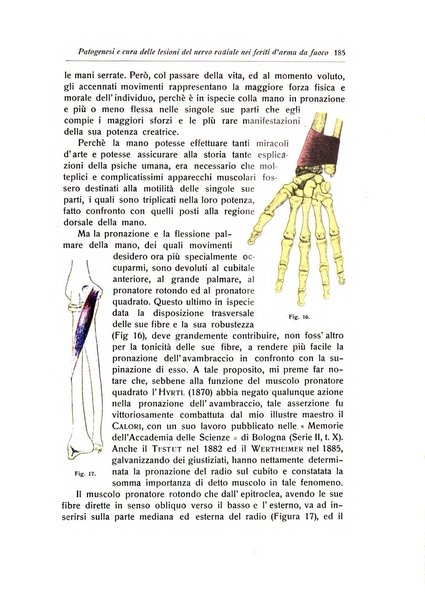 La chirurgia degli organi di movimento