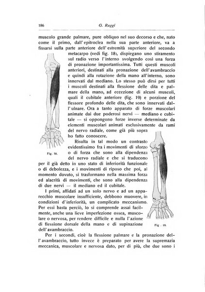 La chirurgia degli organi di movimento