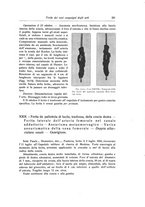 giornale/RML0015994/1917/unico/00000245