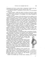 giornale/RML0015994/1917/unico/00000253