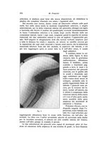 giornale/RML0015994/1917/unico/00000288