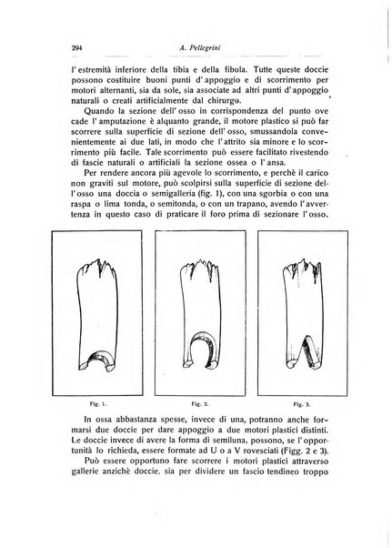 La chirurgia degli organi di movimento