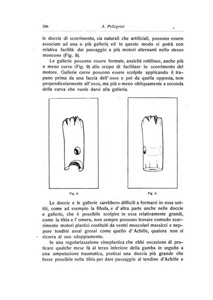 La chirurgia degli organi di movimento