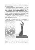 giornale/RML0015994/1917/unico/00000475